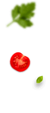 Foodking - فست فود و رستوران وردپرس